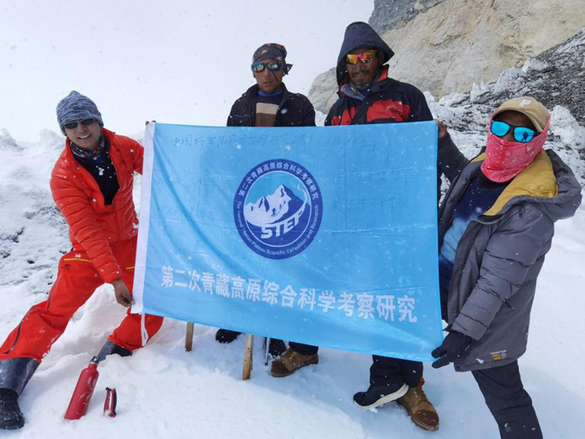 Benih dari Altitud 6,212m Bercambah