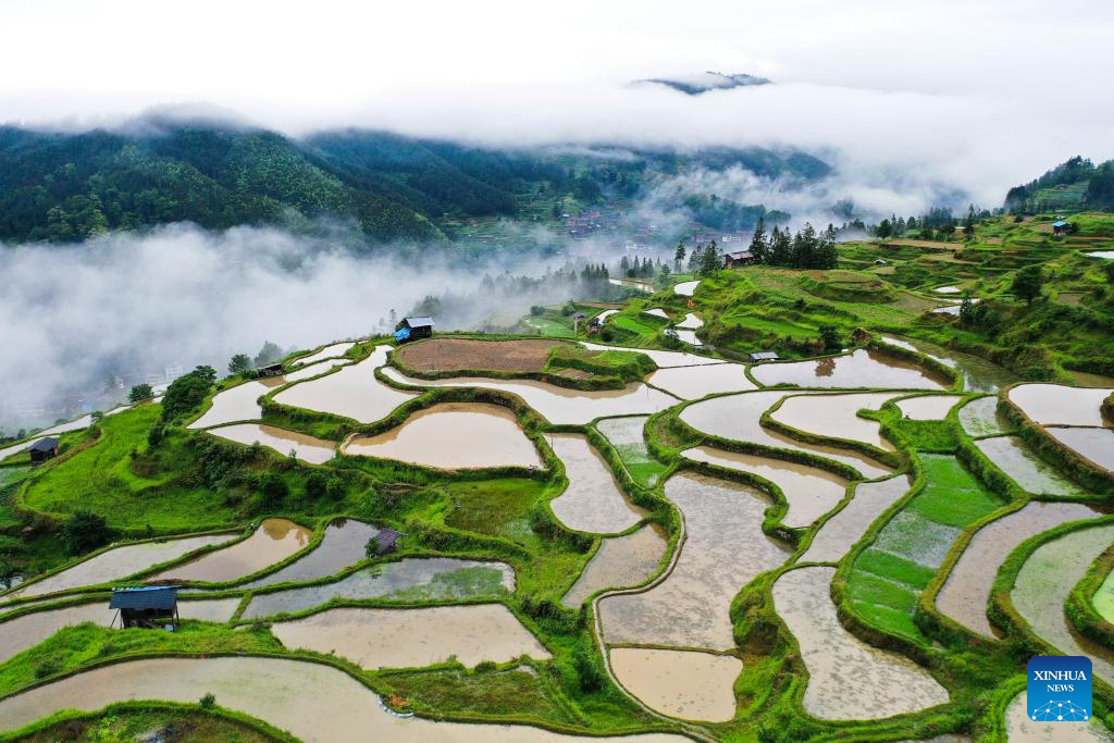 Pemandangan Sudut Udara Teres di Guizhou