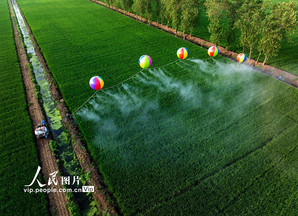Belon Hidrogen Digunakan untuk Sembur Penggalak Tanaman di Jiangsu