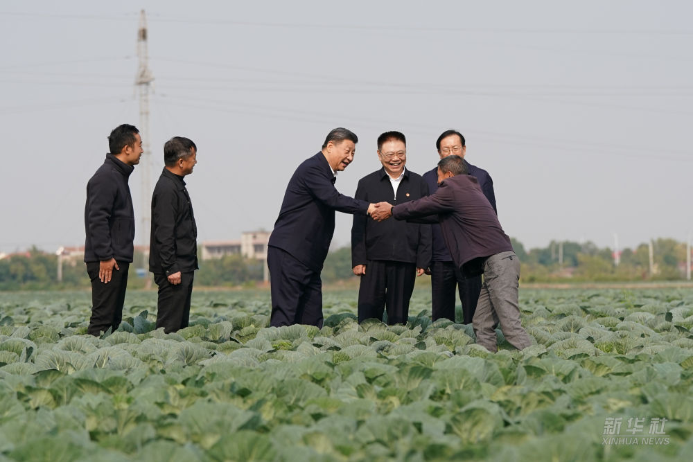 Xi Adakan Tinjauan di Hubei