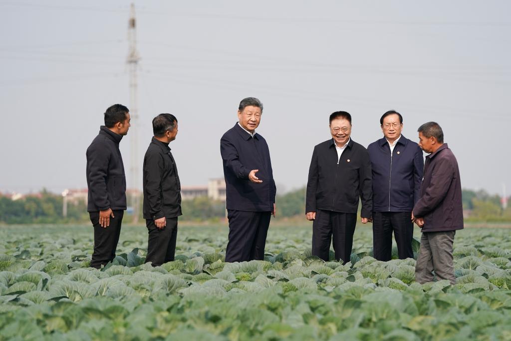 Xi Garis Usaha Pacu Pemodenan di Hubei