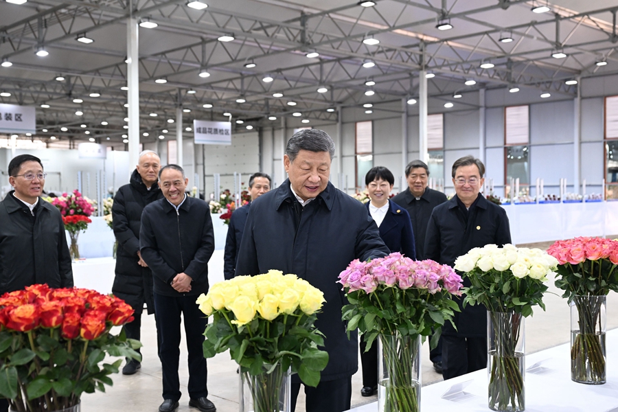 Xi Lakukan Tinjauan di Yunnan