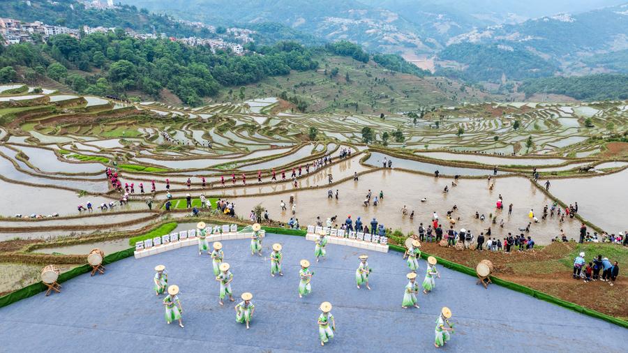 Foto sudut udara yang diambil menggunakan dron bertarikh 2 Mei 2025 ini memperlihatkan pertunjukan semasa sebuah acara yang menandakan permulaan musim penanaman beras di sawah padi berteres di Kampung Jiayin, Kaunti Honghe, Kawasan Autonomi Yi dan Hani Honghe di Provinsi Yunnan, barat daya China. (Xinhua/Hu Chao)