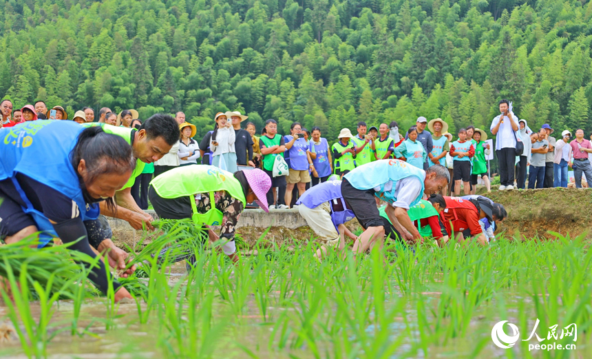 Penduduk Kampung Chongyi Sakan Bersukan di Sawah Berteres