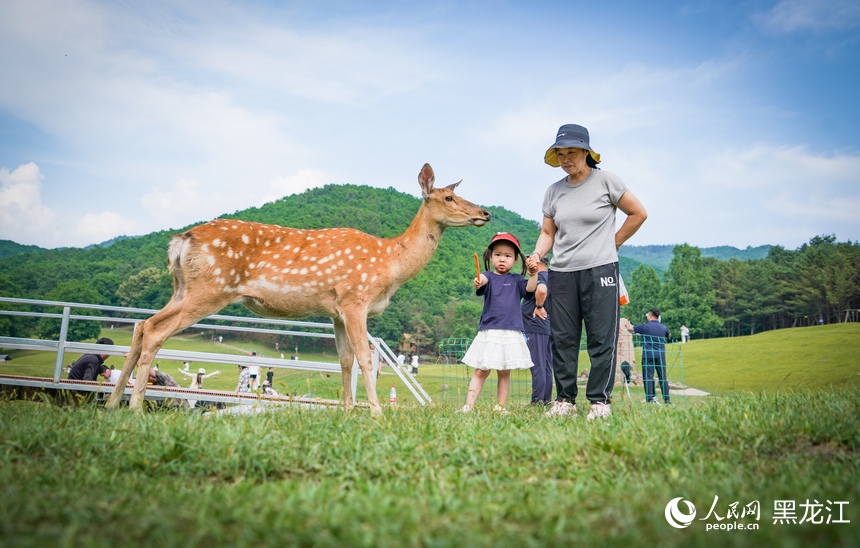 Seorang kanak-kanak perempuan cuba menyuap makanan kepada seekor rusa di Taman Rusa Jinshan di daerah Jinlin, bandar Yichun, Provinsi Heilongjiang di timur laut China. (People’s Daily Online/Su Jinggang)