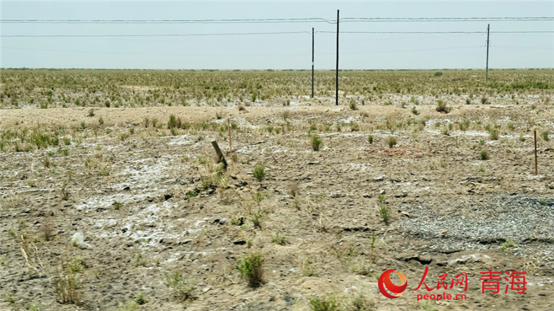 Foto memperlihatkan hablur garam di gurun gobi di bandar Golmud, Provinsi Qinghai di barat laut China. (People’s Daily Online/Liu Peiran)