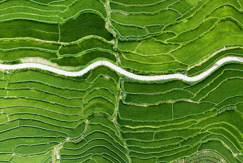 Pemandangan ladang teres dari udara di tebing Sungai Lancang di Dali, provinsi Yunnan. (Foto ihsan Biro Kebudayaan dan Pelancongan Kuanti Yunlong)